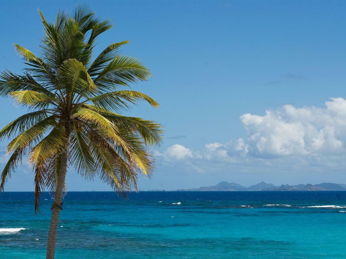 Coral Beach Club Villas & Marina Sint Maarten Exterior photo